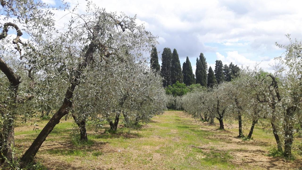 Agriturismo Podere Sertofano * Barberino Val d'Elsa