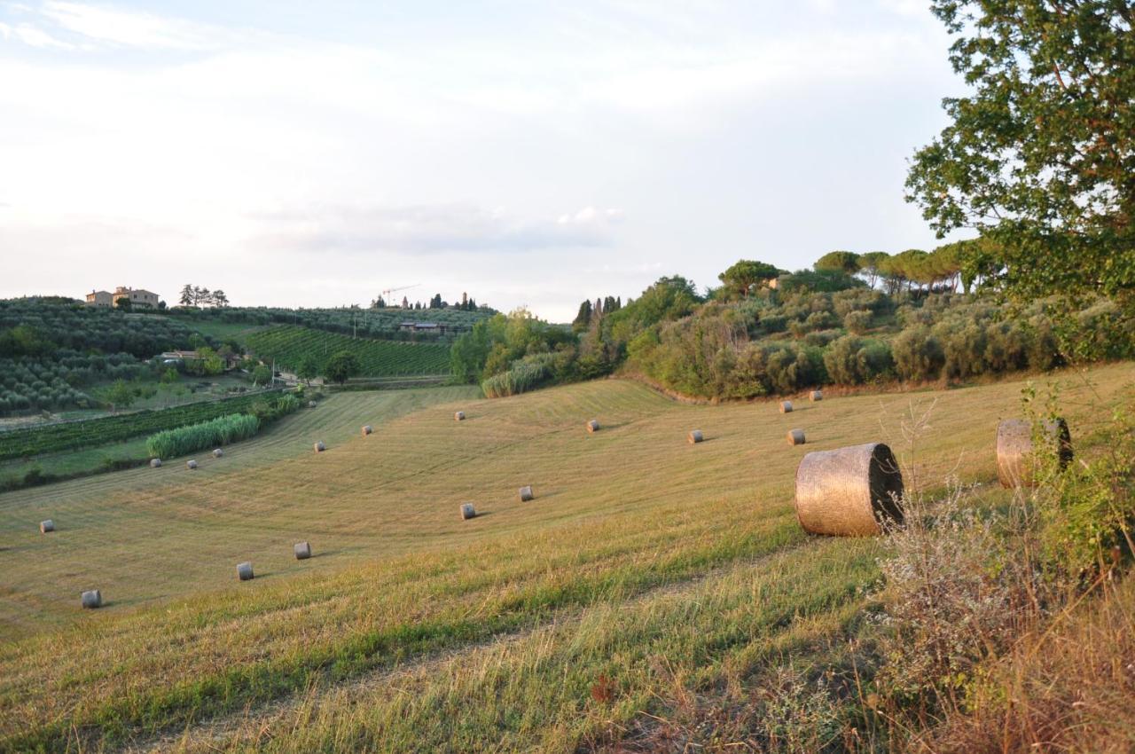 Farm stay Agriturismo Podere Sertofano Barberino Val d'Elsa